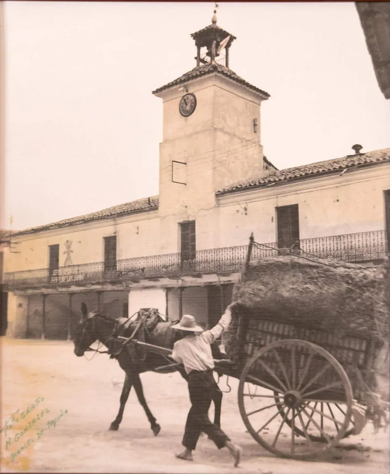 Productos frescos: zanahorias, puerros, rábanos, repollo, brócoli y otras verduras en exhibición en un mercado.