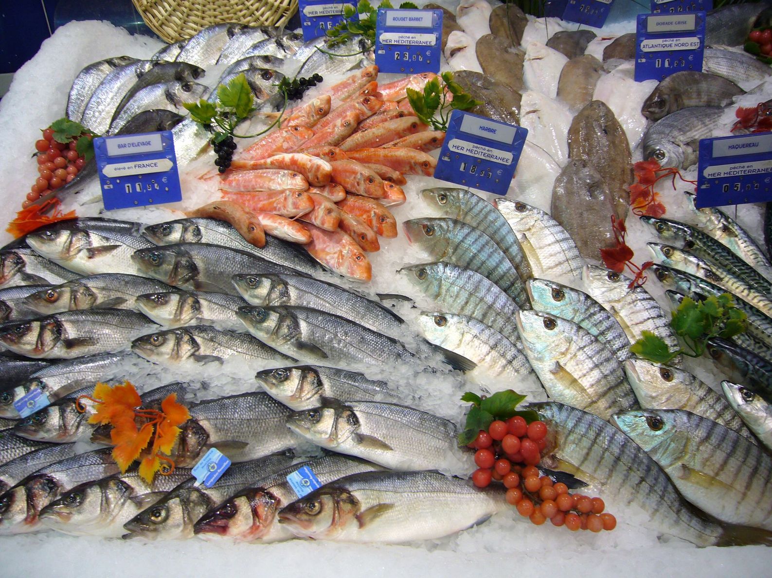 Étalage de fruits de mer avec poissons, crevettes et crustacés sur glace sur un étal de marché