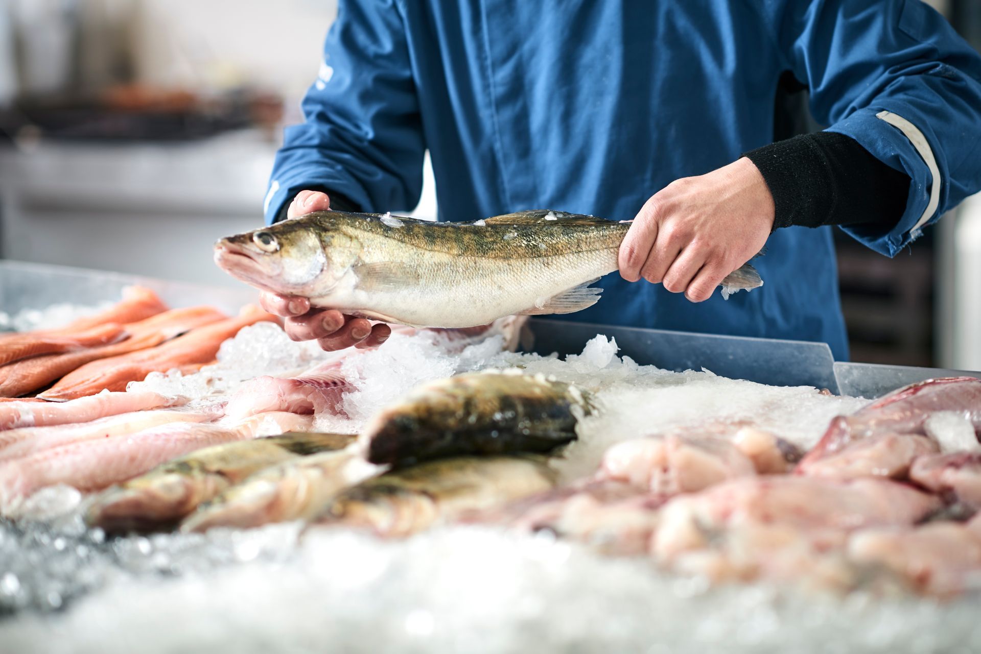 Une personne tenant un poisson au-dessus d'un étal de glace dans un marché aux fruits de mer