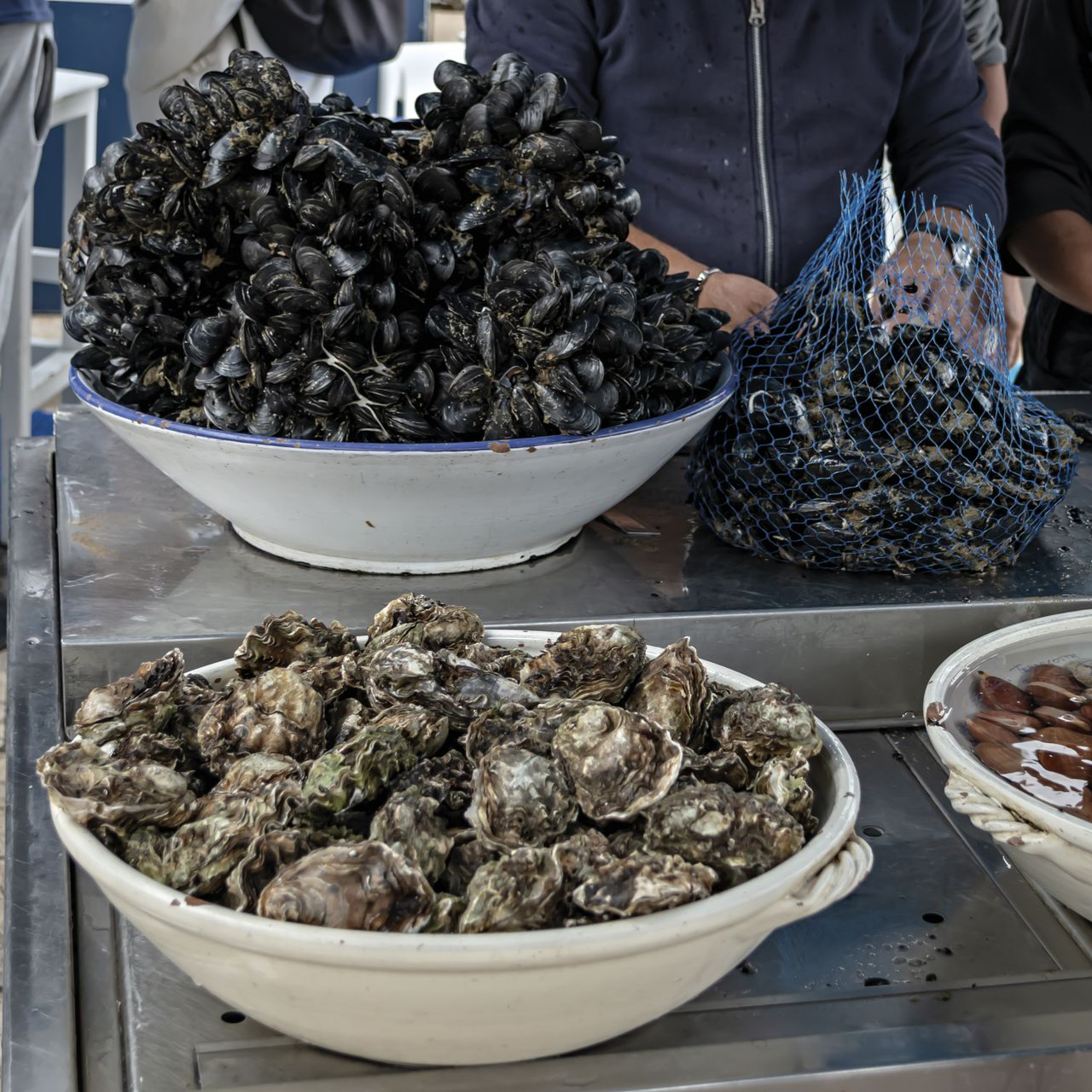 Étal de marché avec des bols de coquillages clairs et foncés sur un comptoir en métal