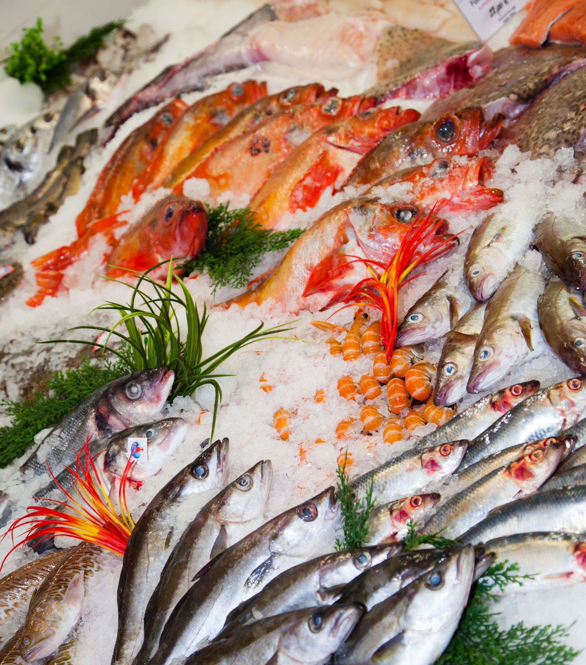 Poissons frais assortis sur glace sur un marché, avec des variétés argentées, oranges et rouges présentées ensemble.