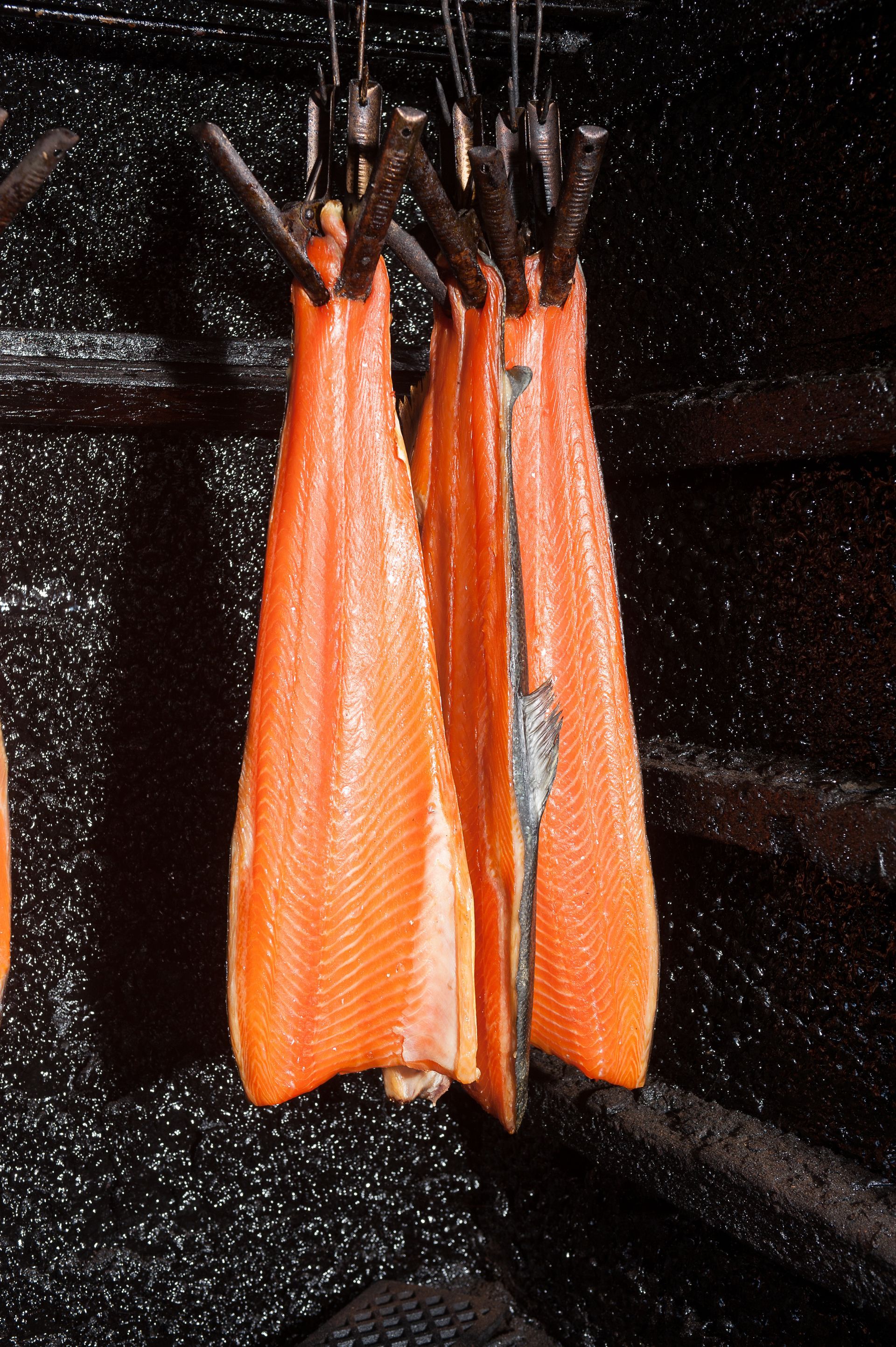 Poissons oranges suspendus à des cordes noires pour sécher dans un environnement sombre