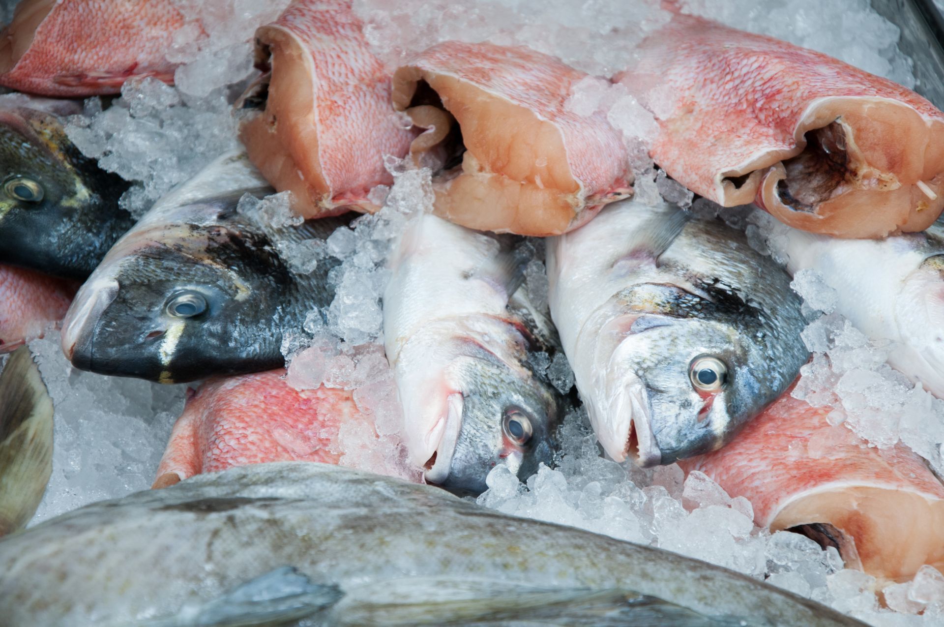 Poisson frais sur glace sur un étal de marché, avec du poisson entier et du poisson découpé disposés en rangées.