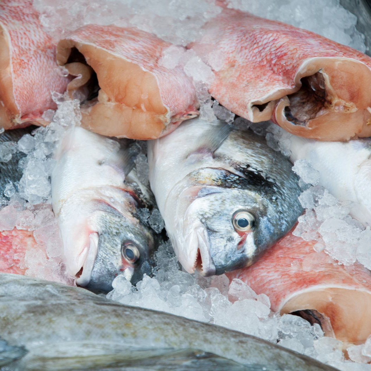 Poisson frais et pavés de saumon emballés sur de la glace pilée, étalés sur un marché
