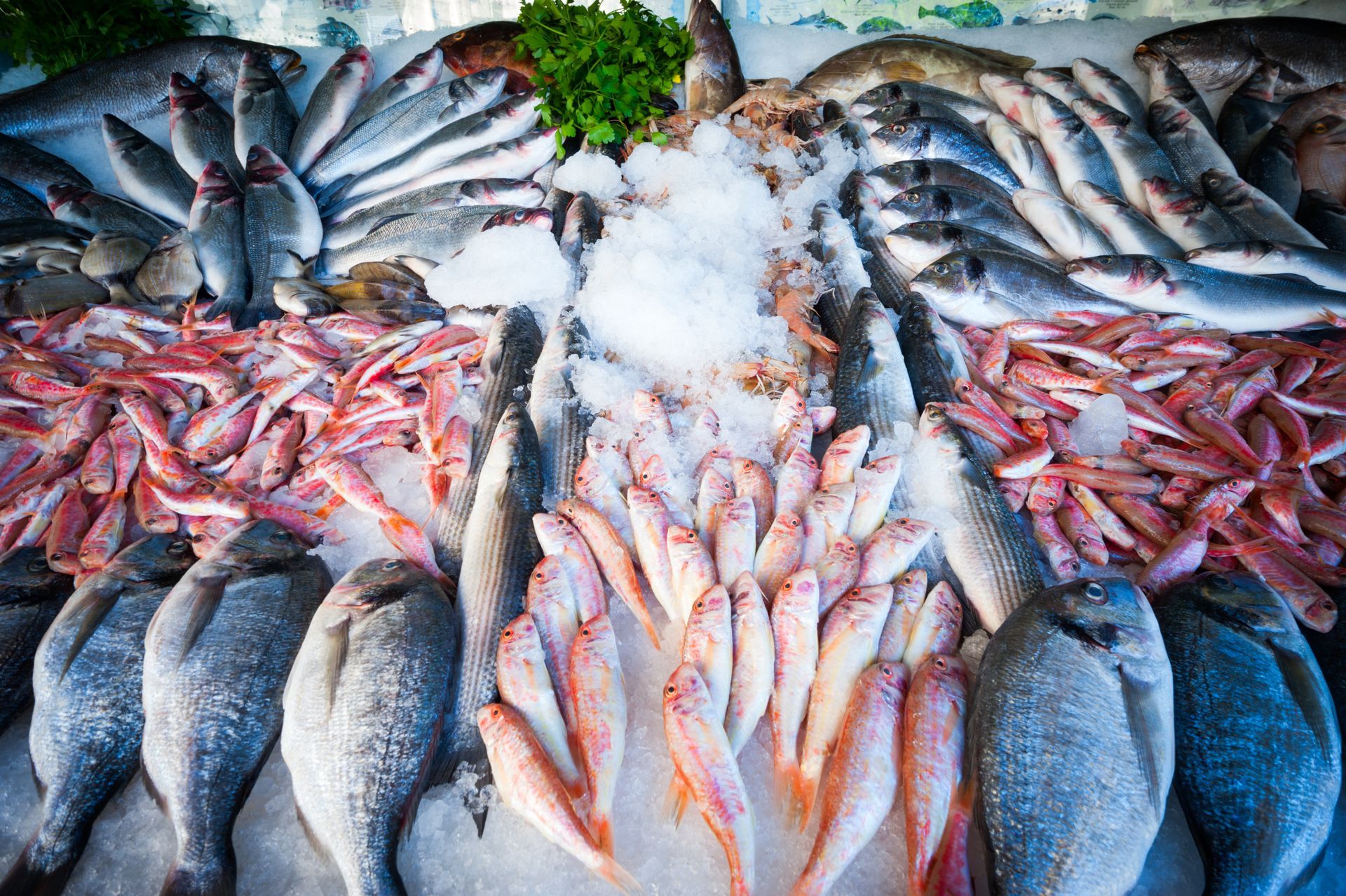 Poissons frais assortis présentés sur de la glace dans un marché aux poissons