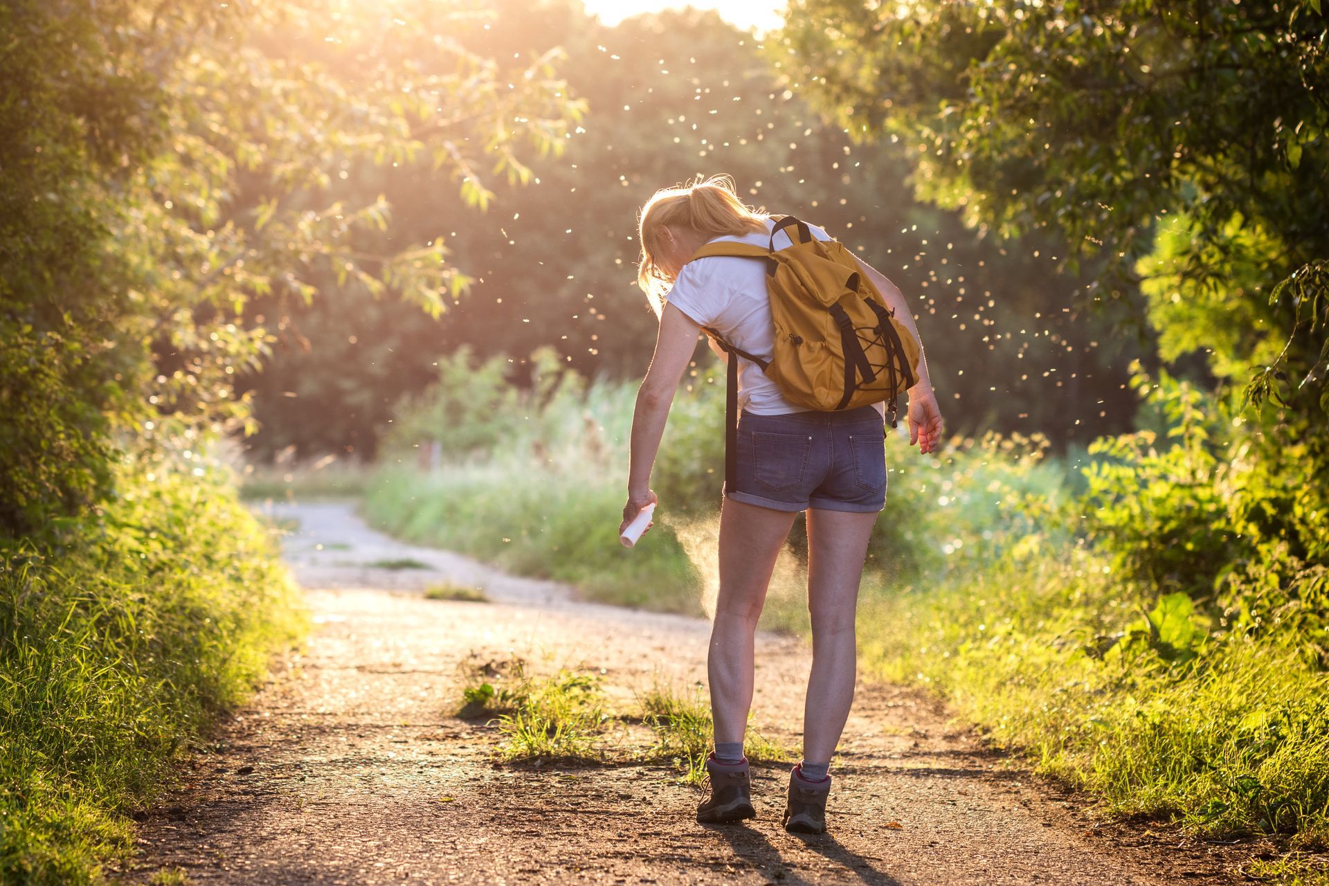 Randonneur avec un sac à dos jaune marchant sur un sentier forestier baigné de soleil à l'heure dorée