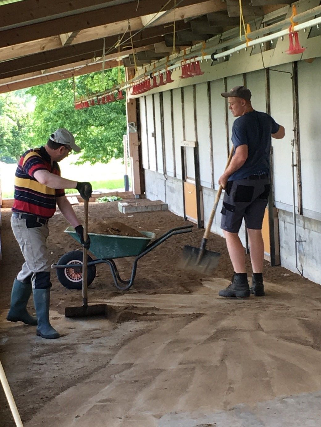 Geflügelfarm Dominic Moos | Schongau