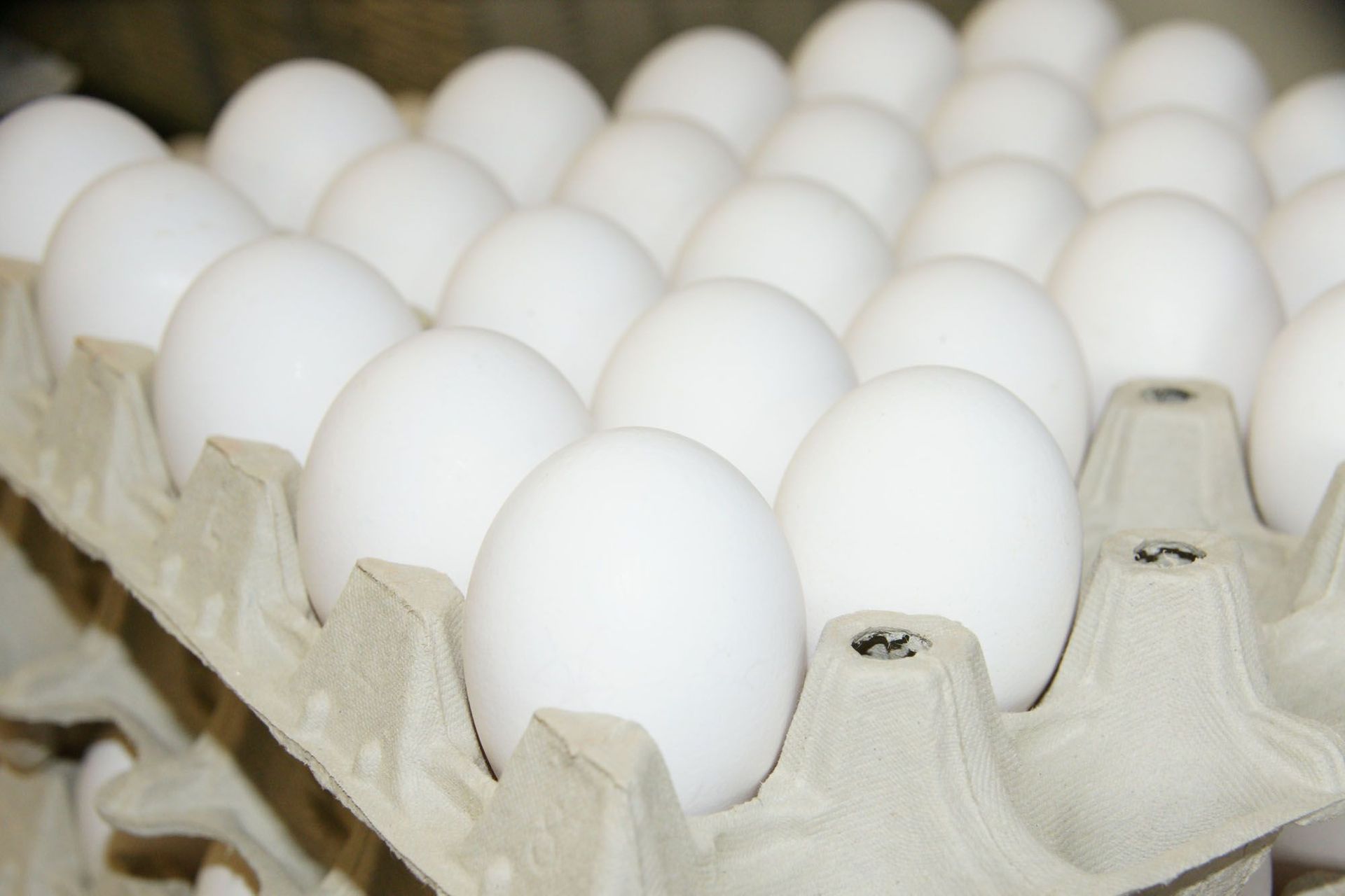 Geflügelfarm Dominic Moos | Schongau