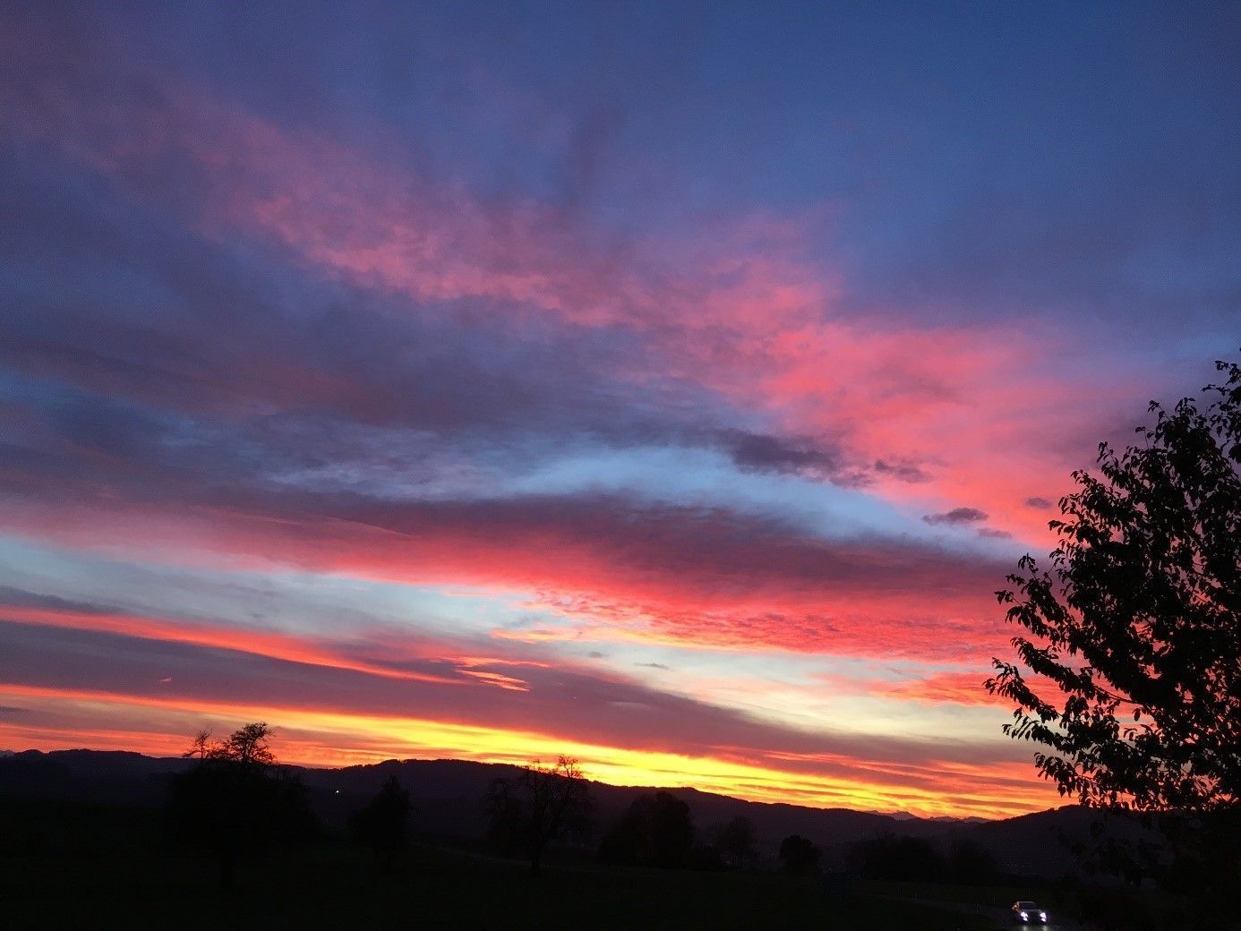 Geflügelfarm Dominic Moos | Schongau