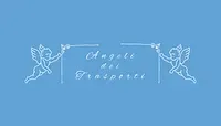 Angeli dei trasporti di Iovanna Giuseppina logo