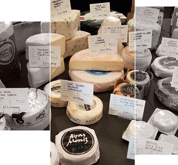 Quesos expuestos en un mercado, con etiquetas de precios.