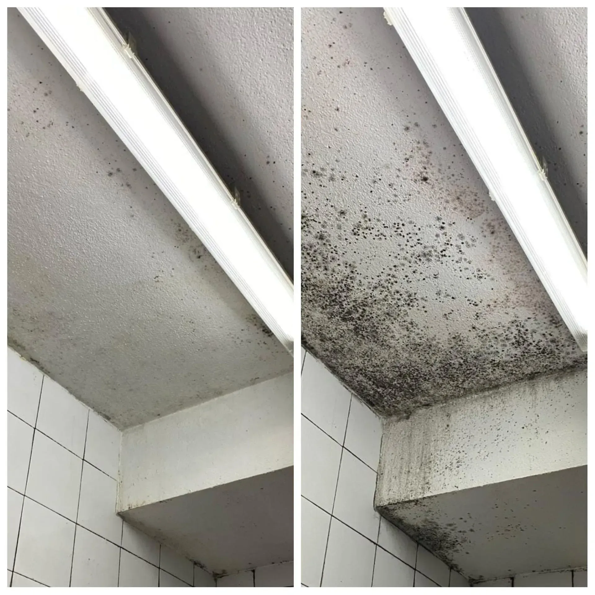 Duas imagens lado a lado, mostrando um canto do teto com mofo antes e depois da limpeza.