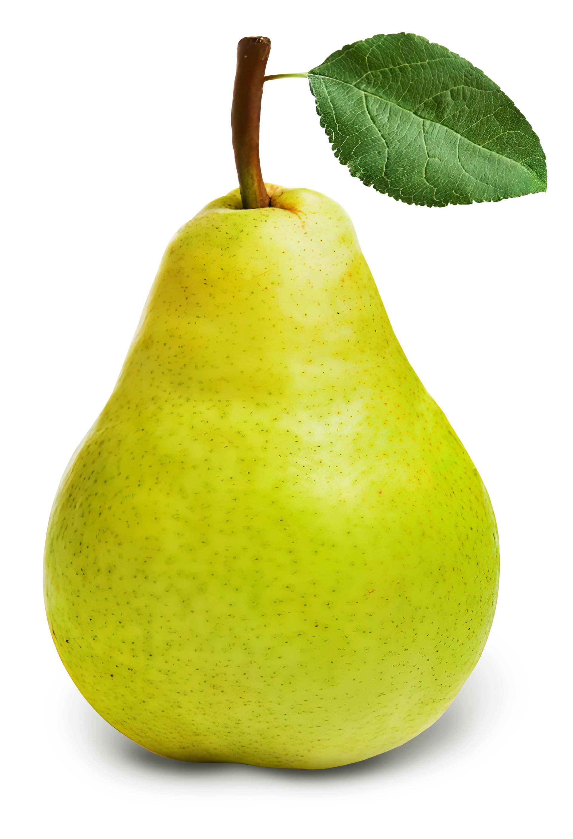Poire verte avec tige et feuille.