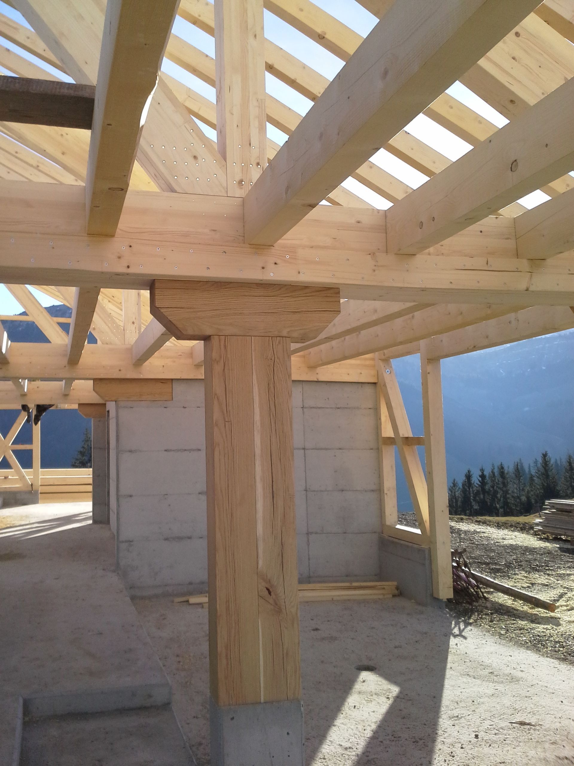 Wand_Zimmermann_Frehner & Frick GmbH