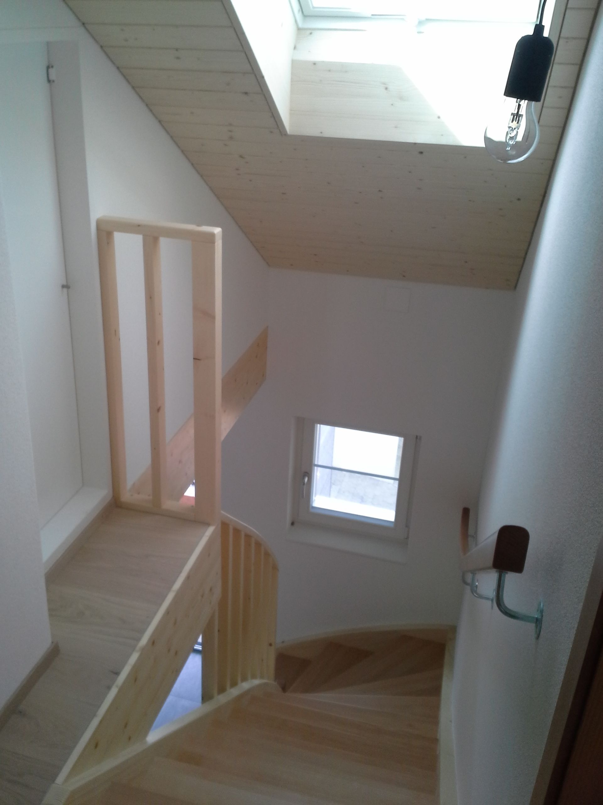 Wand_Zimmermann_Frehner & Frick GmbH