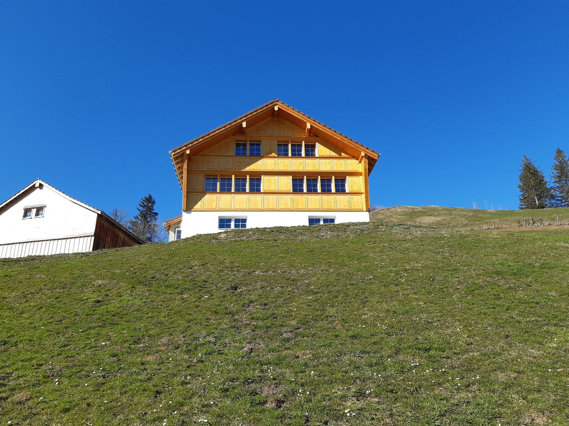 Wand_Zimmermann_Frehner & Frick GmbH