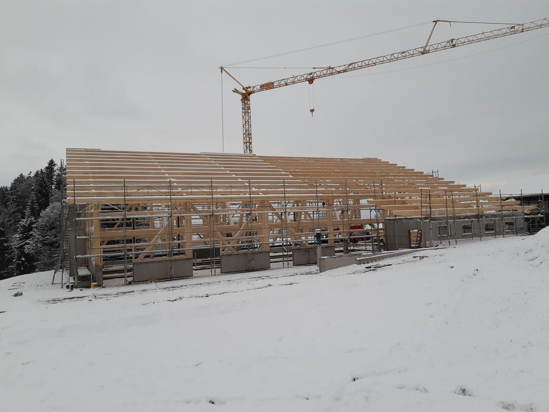 Wand_Zimmermann_Frehner & Frick GmbH