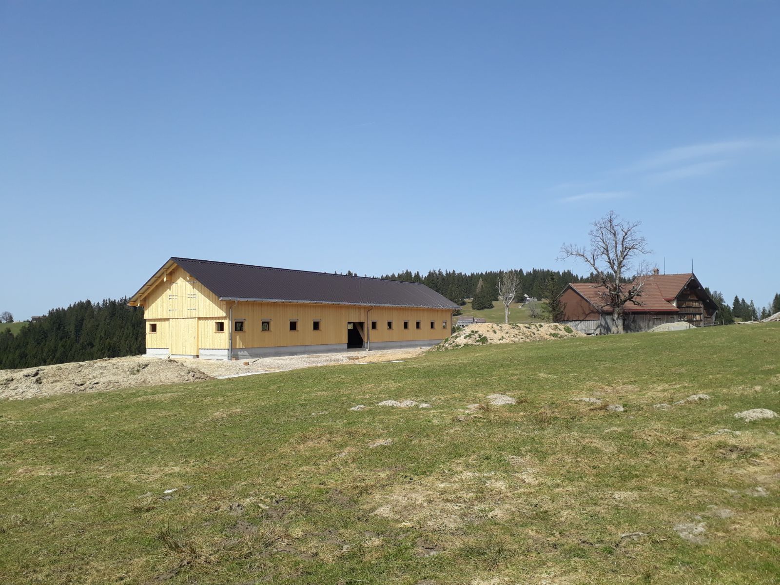 Stall_gelb_Zimmermann_Frehner & Frick GmbH