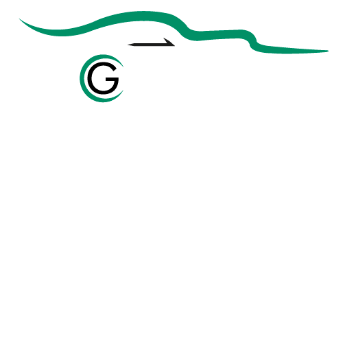 logotipo cabecera