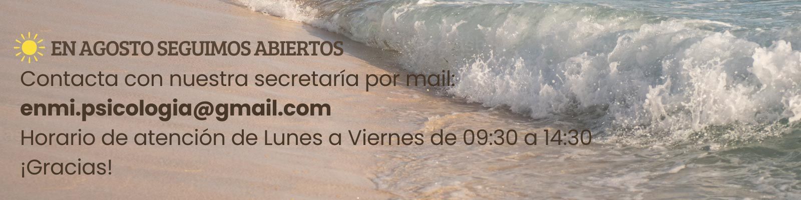Aviso amarillo con horario de apertura y correo electrónico de contacto en español sobre fondo gris claro.