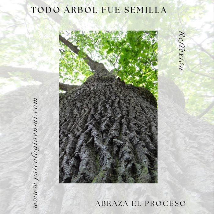 Low-angle view of a tree trunk with green leaves above. Text reads 