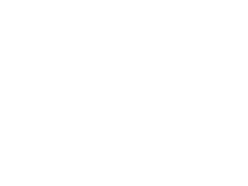 lvivihti