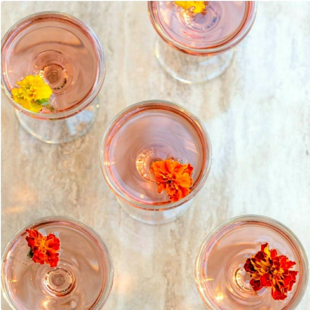 Cinco cócteles rosas en vasos con flores comestibles sobre una superficie de mármol.