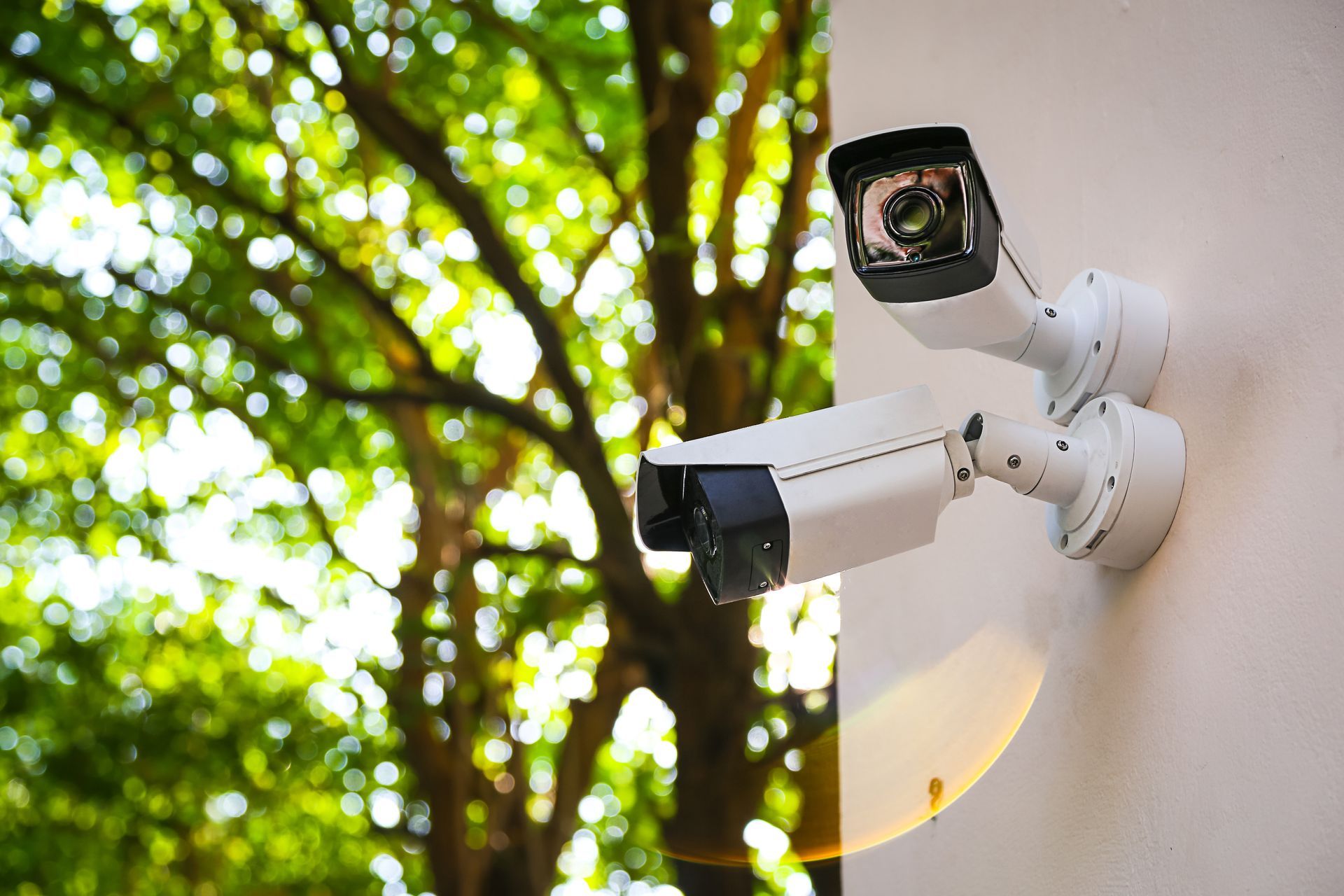 Deux caméras de sécurité extérieures blanches, fixées sur un mur, se détachent sur un fond d'arbres verts.
