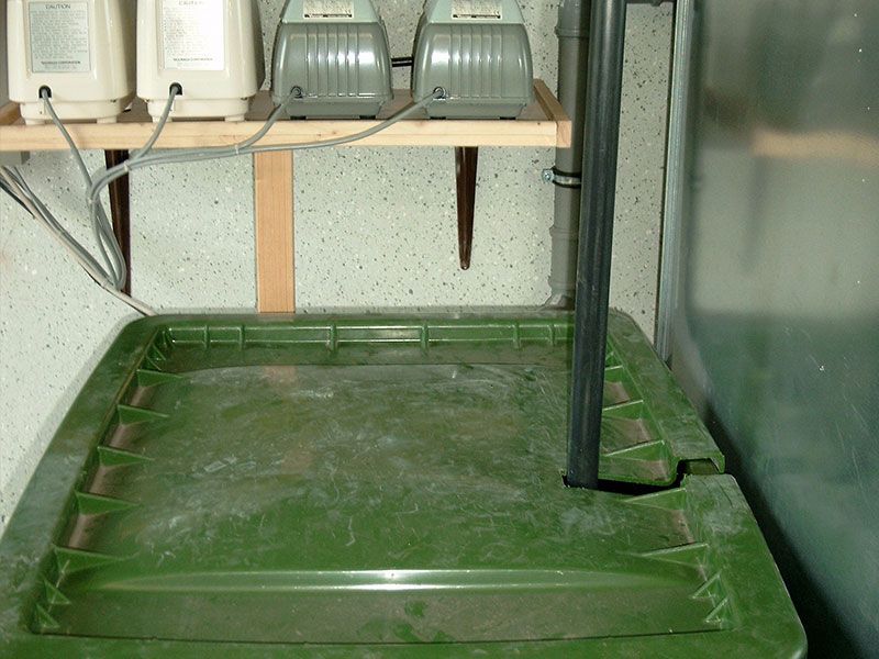 Ein grüner Mülleimer steht unter einem Holzregal