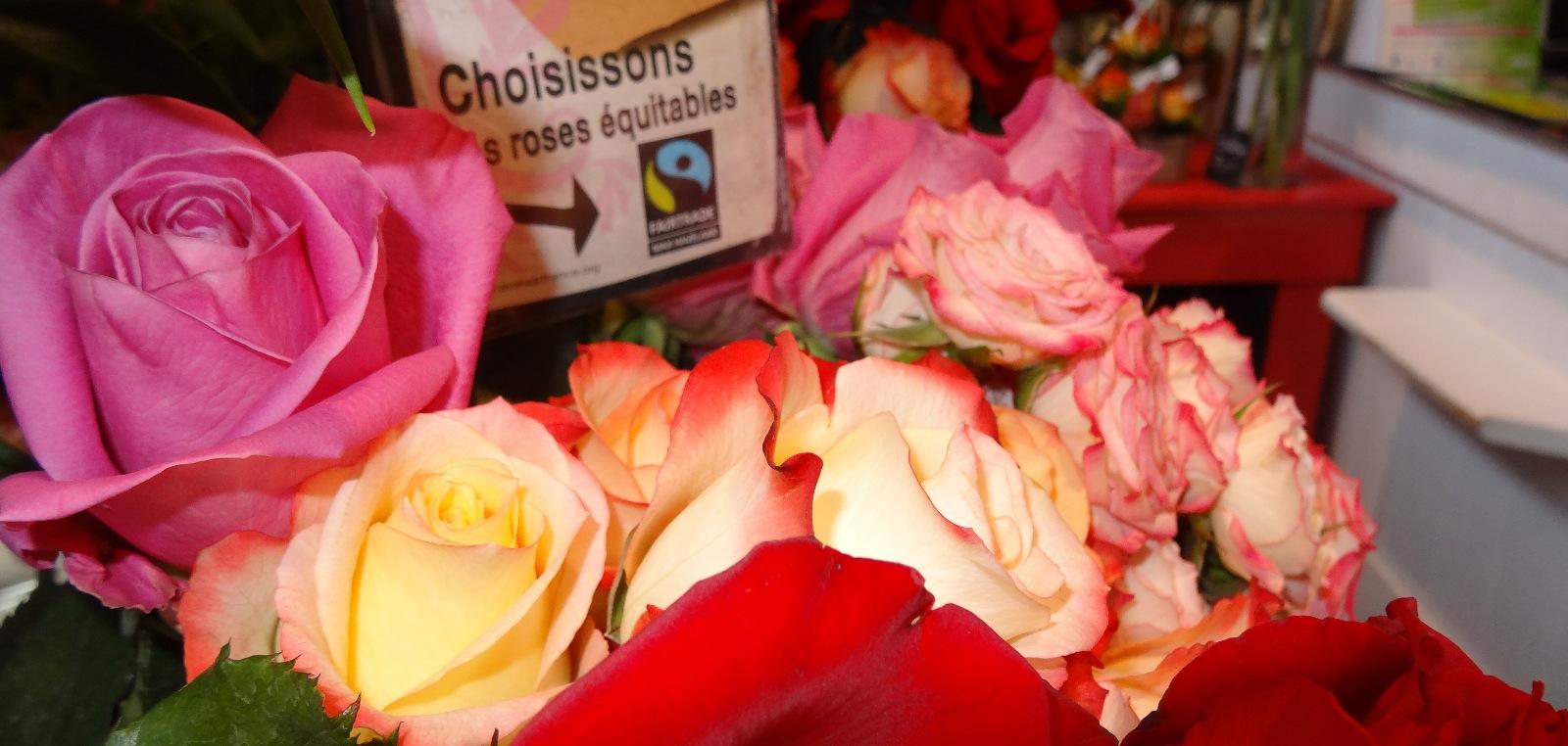 Rose commerce équitable - Fleuriste un été à la campagne - Fougères