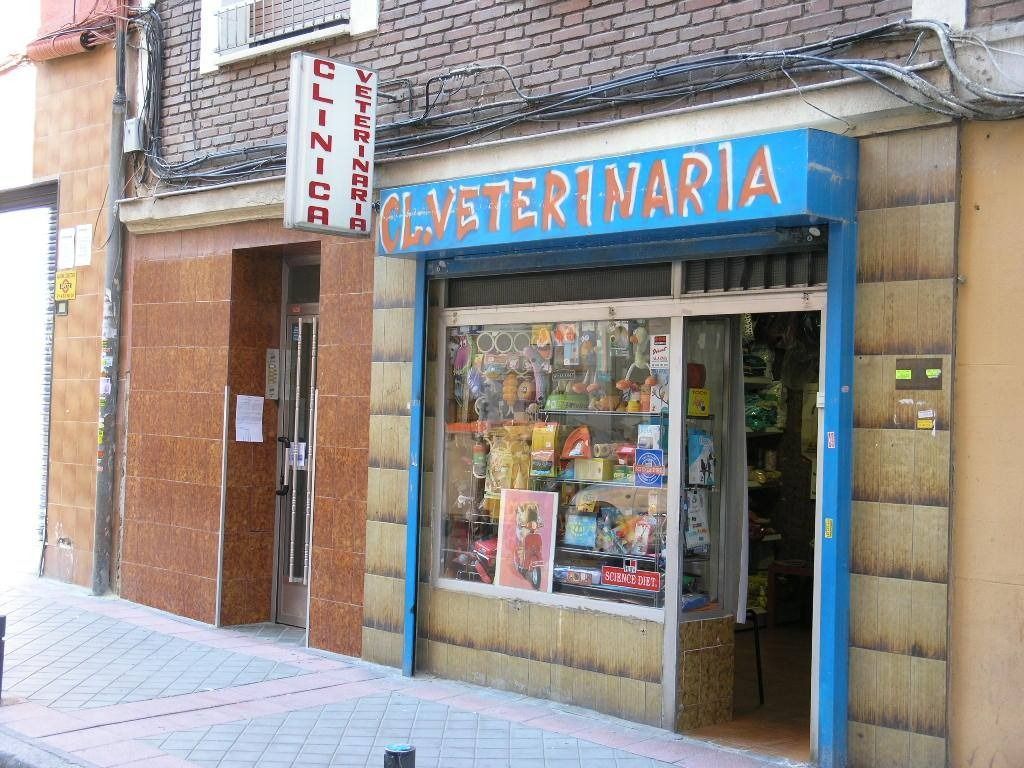 Una clínica veterinaria con fachada azul y canela, con artículos para mascotas en su escaparate. Letrero visible de