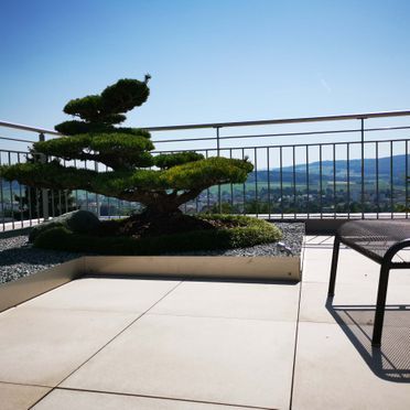 Gartenbau - M. Berger Gartenbau AG Wohlen - Anglikon