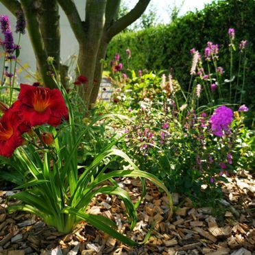 M. Berger Gartenbau AG Wohlen -  Anglikon