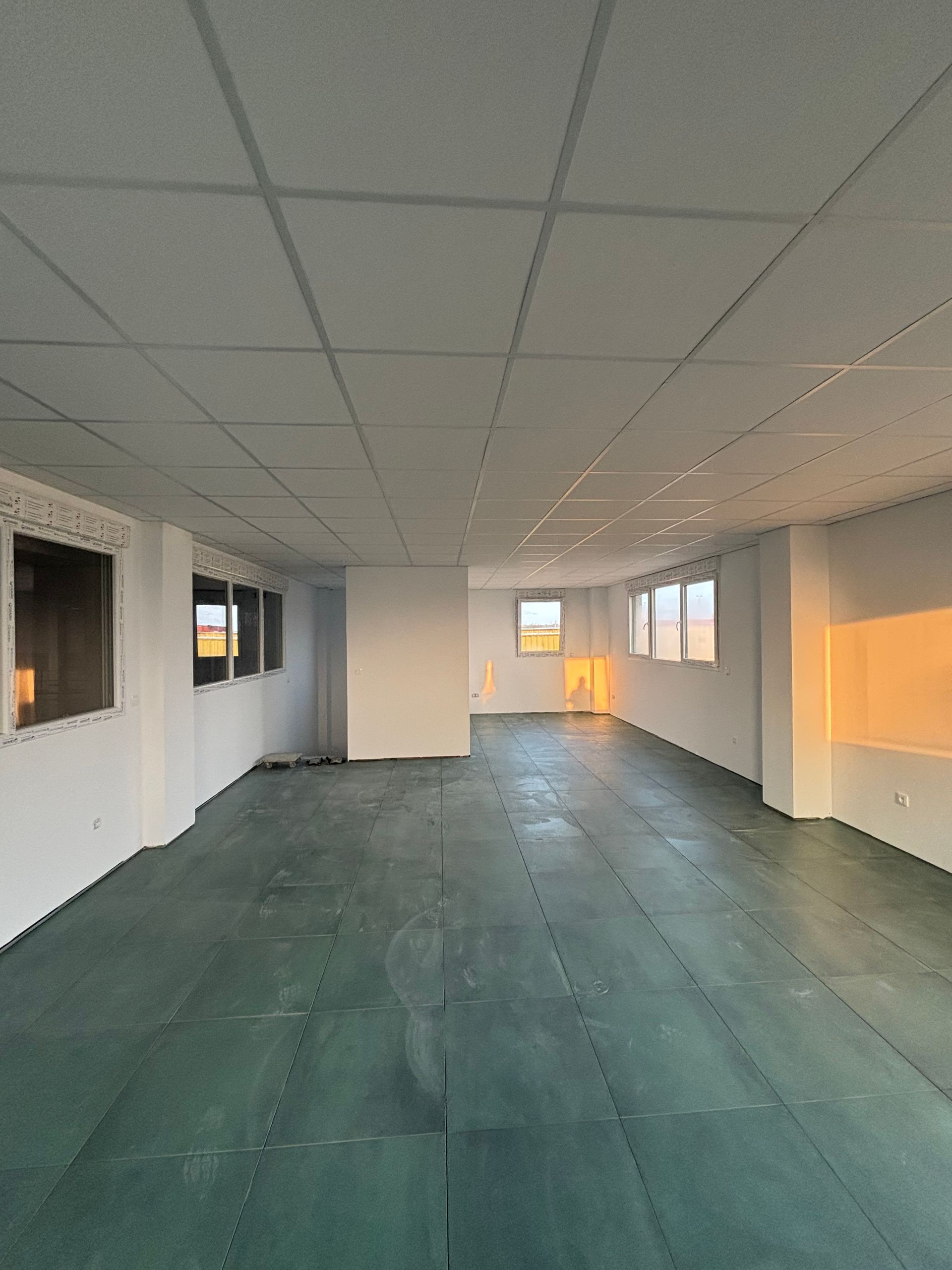 Bureau vide aux murs blancs, au plafond en dalles grises et à la moquette verte, éclairé par une chaude lumière naturelle.