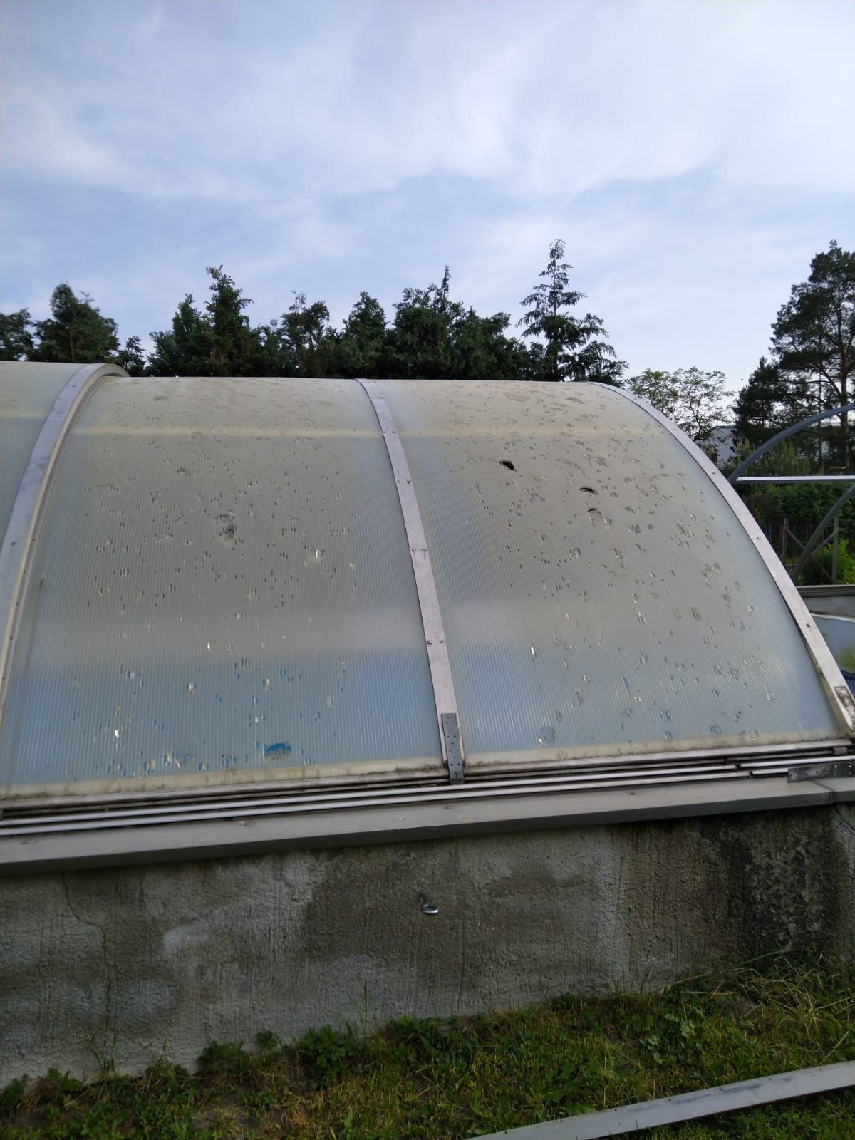 Auf einer Betonmauer steht ein Gewächshaus mit durchsichtigem Dach.