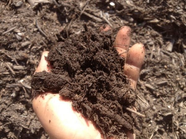Una persona sostiene un montón de tierra en su mano.