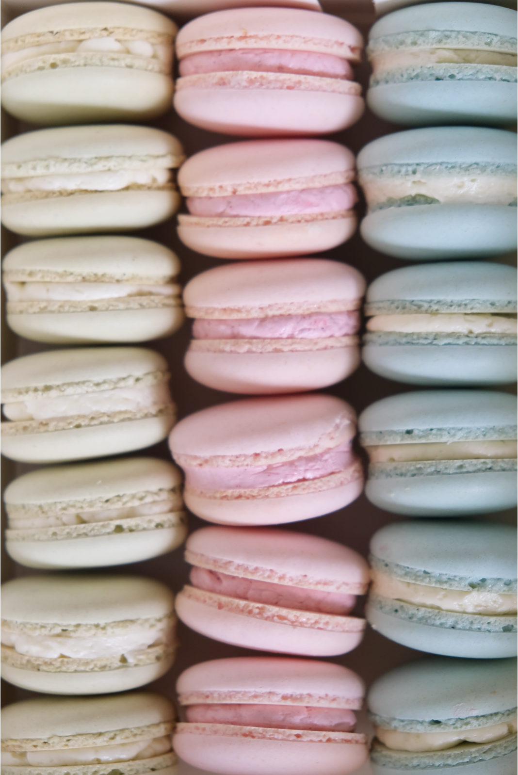 Una caja de macarons de diferentes colores alineados en una fila.