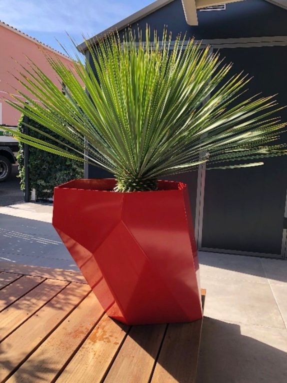 Très haut pot rouge contenant un arbuste