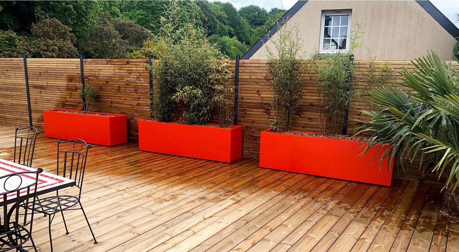 Grands bacs rouges d'arbuste le long d'une palissade