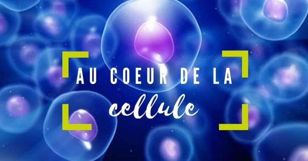 Logo Au Coeur de la Cellule