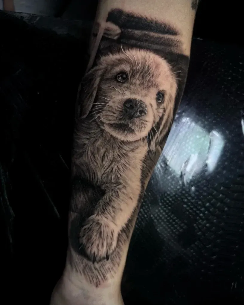 Un tatuaje de un perezoso realista en el antebrazo, con una banda negra cerca de la parte superior.