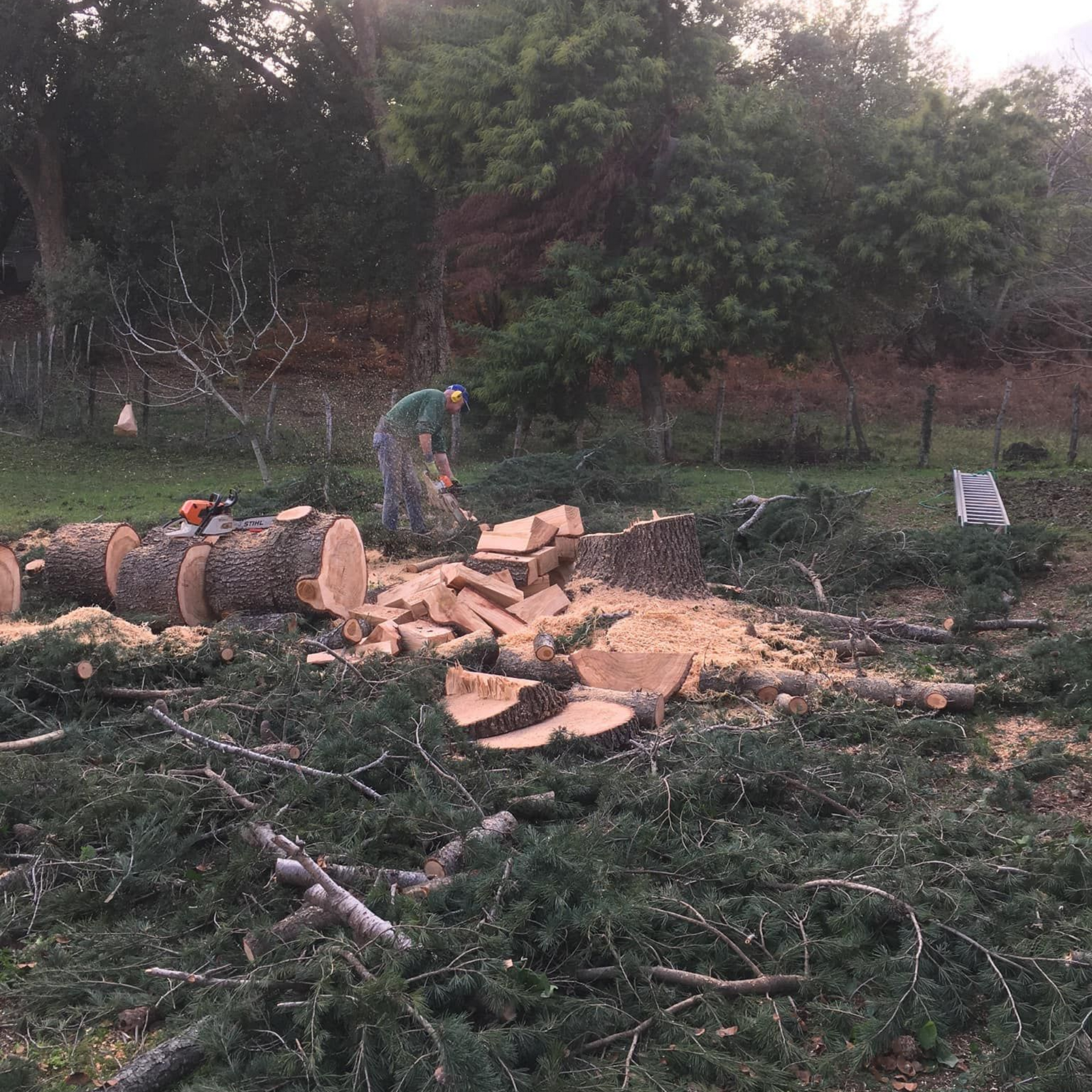 Un homme débite un tronc