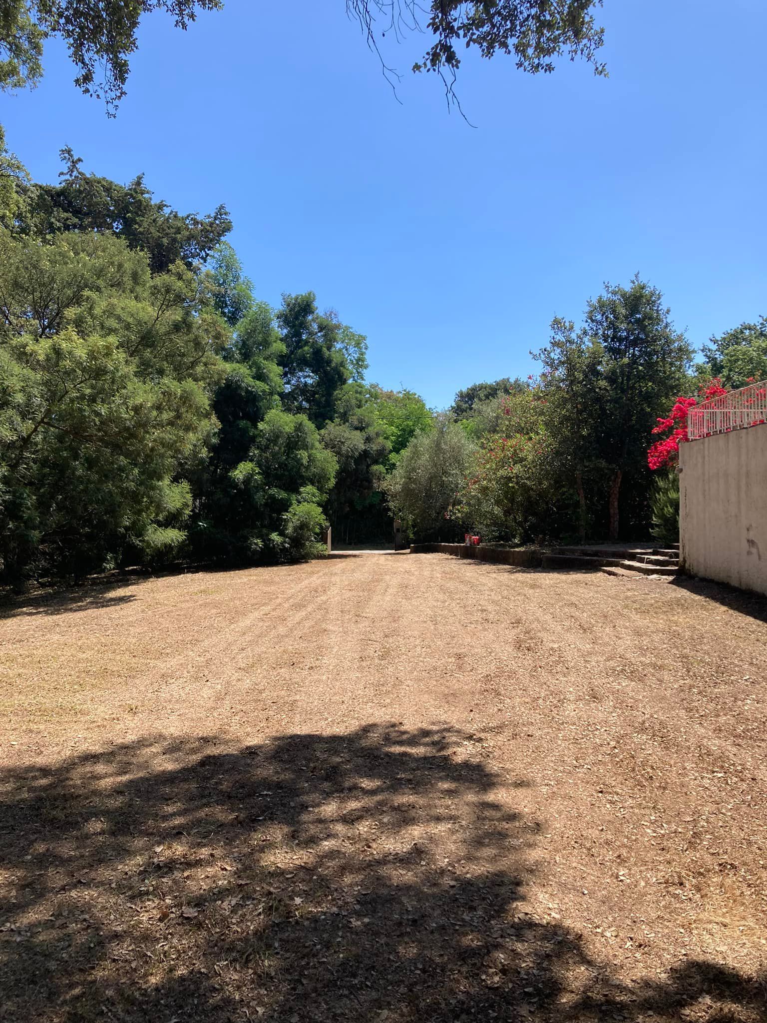 Jardin après défrichage