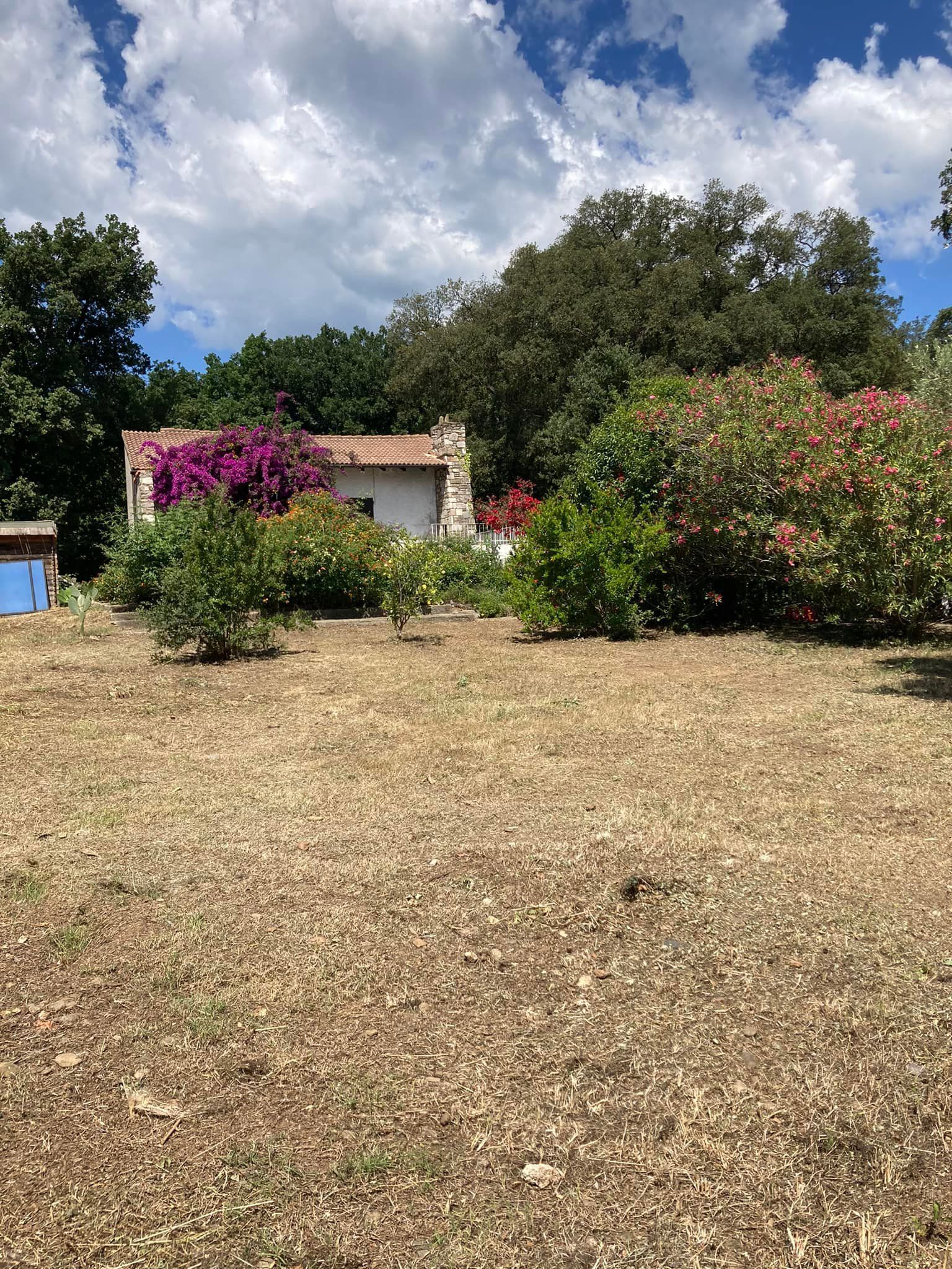 Jardin après défrichage