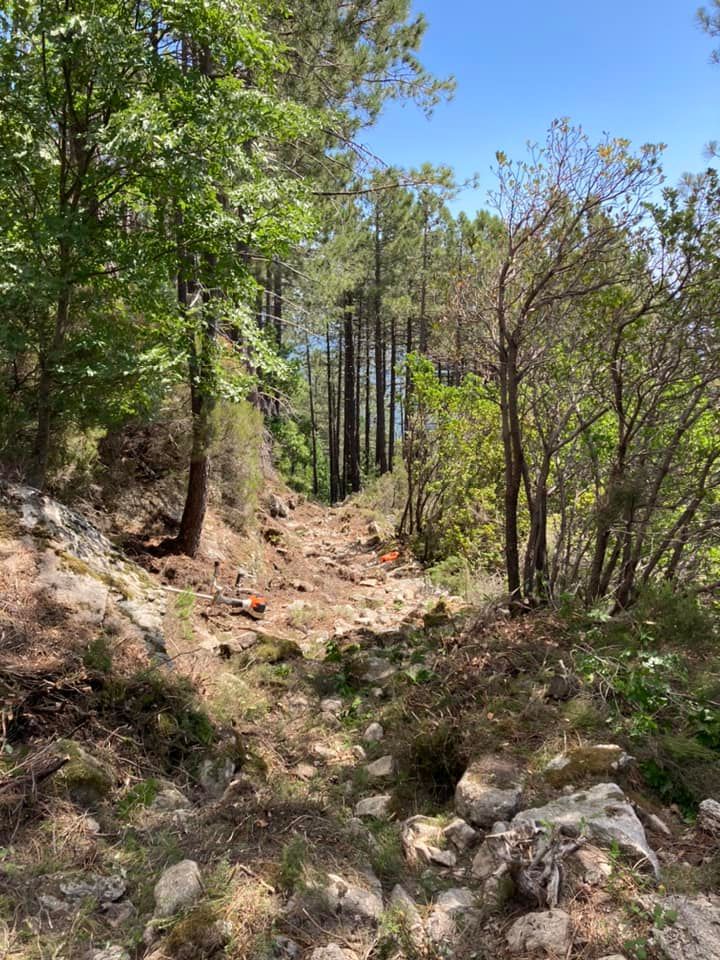 Un chemin de randonnée