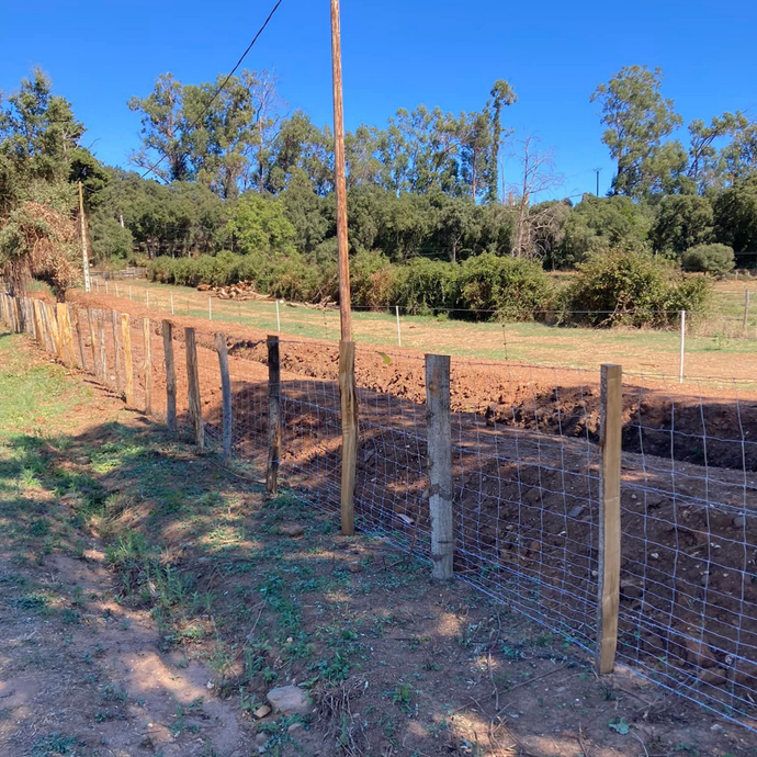 Une clôture par beau temps