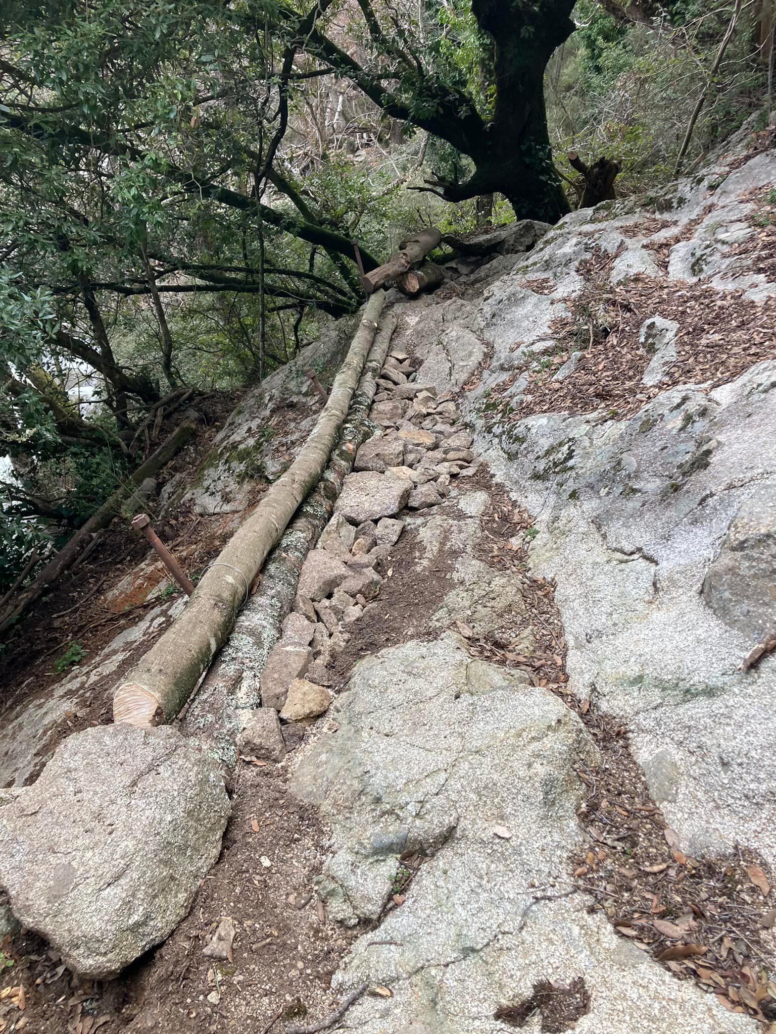 Un chemin rocailleux