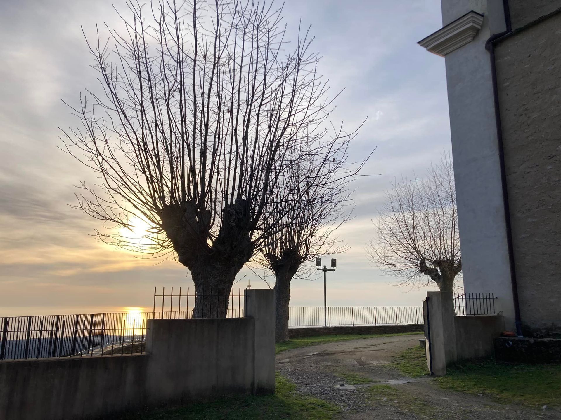 Des arbres en hiver avant élagage