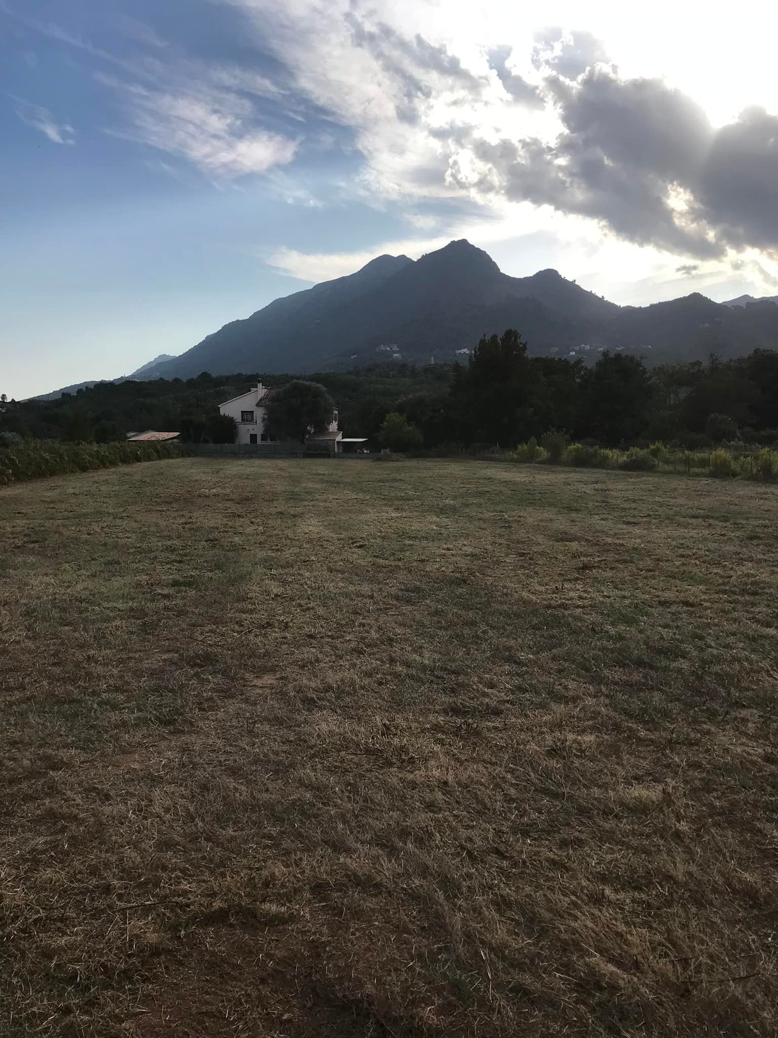 Un champ devant les montagnes