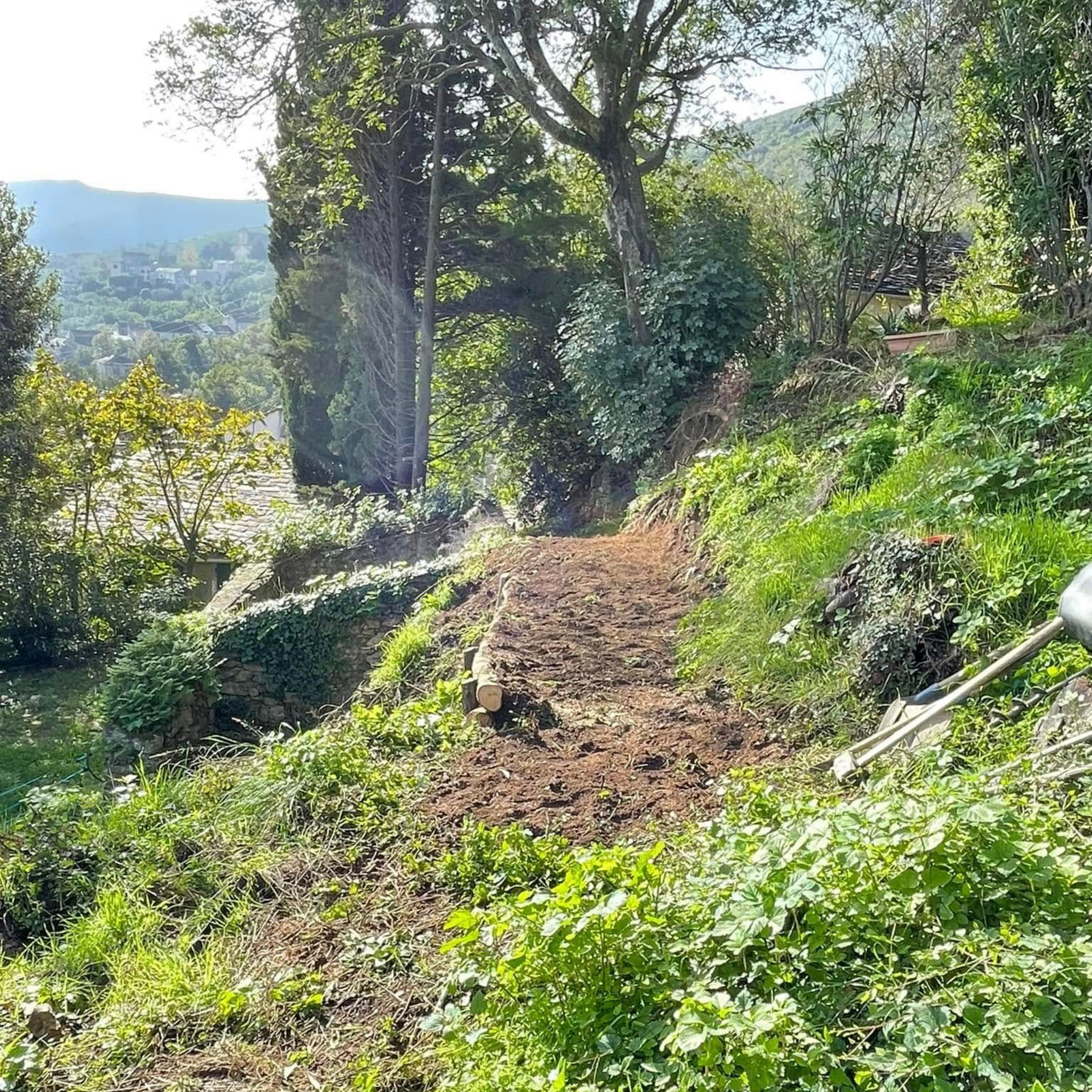 Un chemin de randonnée ensoleillée